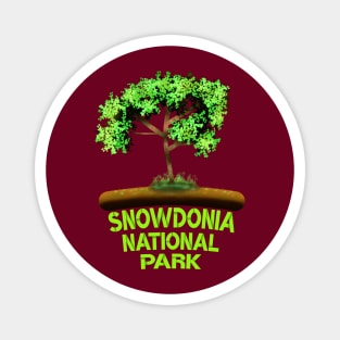 Snowdonia National Park Magnet